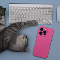 Viedtālruņa apvalks no silikona, 2 mm, iPhone 17 Pro, ar MagSafe – rozā krāsā