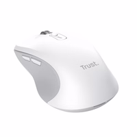 Trust 25674 mouse Universal Ambidextrous Bluetooth 3200 DPI