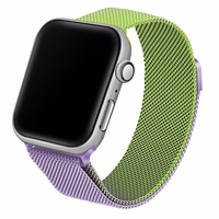 Beline siksniņa Apple Watch Steel38/40/41mm zaļš-violets