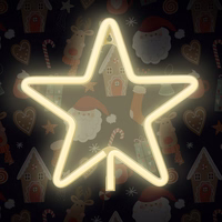 Neon LED Ziemassvētku zvaigzne silti balta FLNE22 Forever Light