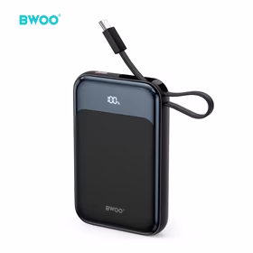 BWOO PD 20W 10000 mAh Portatīvais lādētājs With Usb-c Kabelis and Ekrāns P80 zelta