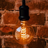 LED Bulb Filaments E27 G95 4W 230V 2000K 250lm SF zelta Forever Light