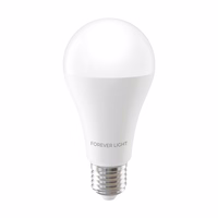 Forever Light LED Bulb E27 A65 17W 2100lm 3000K class E
