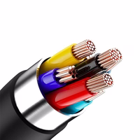 Beline Ieliktņu austiņas USB-C SK193 melns