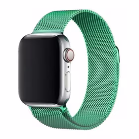 Magnētiskā siksniņa Apple Watch 45mm - piparmētru