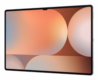 Samsung Galaxy Tab S10 Ultra 5G LTE-TDD & LTE-FDD 256 GB 37.1 cm (14.6") 12 GB Wi-Fi 7 (802.11be) Platinum, sudraba