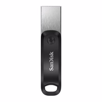 SanDisk SDIX60N-256G-GN6NE USB flash drive 256 GB 3.2 Gen 1 (3.1 Gen 1) pelēks, sudraba
