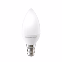 Forever Light LED Bulb E14 C37 4.8W 630lm 3000K class E