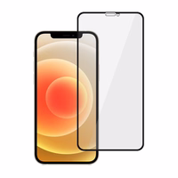 Privātuma aizsargstikls Tel Protect 10X Privacy Titanium paredzēts Iphone 12/12 Pro