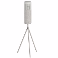 HiFuture Wedge Bluetooth skaļrunis - brūns