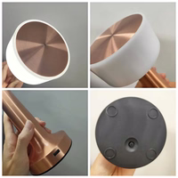 Nakts lampa WDL-01 bezvadu rozā zelta