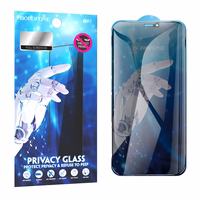 Borofone aizsargstikls BF7 Diamond Armor pilnekrāna Anti-spy Iphone 12/12 Pro - 10 gabali