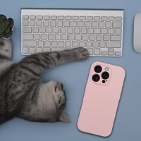 Silikona viedtālruņa apvalks 2mm IPHONE 17 Air saderīgs ar Magnētisko smilšu rozā