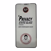 Rūdīts stikls ESD Anti-Static Privacy Apple iPhone 12 Pro Max