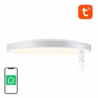 Gudrā griestu lampa 30cm Bluetooth 16M RGBCW Gosund LB13 1600lm Tuya + tālvadības pults.
