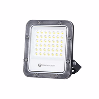 Floodlight LED PROXIM+ 30W 4000K 4500lm 230V IP65 Forever Light 150lm/W 5 years warranty