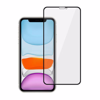 Privātuma aizsargstikls Tel Protect 10X Privacy Titanium paredzēts Iphone 11/XR