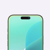 AmazingThing Radix matētā stikla rūdītais aizsargstikls iPhone 16 Pro Max viedtālrunim