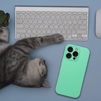 Silikona 2mm viedtālruņa apvalks IPHONE 17, saderīgs ar magnētisko MagSafe funkciju, piparmētru krāsā