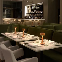 Nakts lampa WDL-03 bezvadu rozā zelta