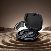 Dudao U17Z Bluetooth 5.3 OWS austiņas with Ear Hooks - melns