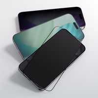 AmazingThing Radix privātuma aizsargstikls iPhone 17 Pro Max