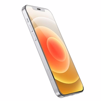 HOCO rūdītais stikls HD Anti-static (komplekts 25in1) - MULTIPACK iPhone 12 / iPhone 12 Pro (G10)