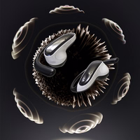 Dudao U17Z Bluetooth 5.3 OWS austiņas with Ear Hooks - melns