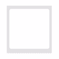 Niimbot termālās uzlīmes T 40x40mm 180 gab. (baltas)