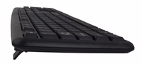 Esperanza EK134 keyboard USB melns