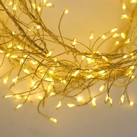 String Light GOLDEN TWIG CLF-03z 480LED cold balts 3m + 5m Forever Light