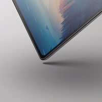 Uniq Optix Clear rūdītais stikls ar aplikatoru iPad Pro 11" 2024