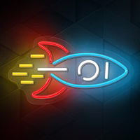 Neon PLEXI LED ROCKET multicolor NNE18 Neolia