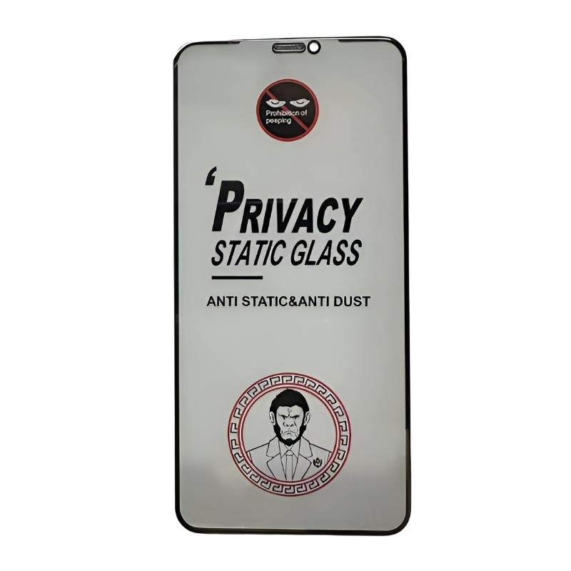 Rūdīts stikls ESD Anti-Static Privacy Samsung S928 S24 Ultra