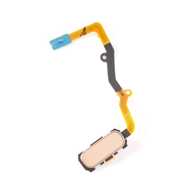 Flex Samsung G935F S7 Edge ar Home button zeltains ORG