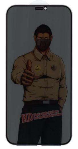 Screen protection glass "Privacy ESD Anti-Static Dust Proof" Apple iPhone 12 Pro Max melns bulk