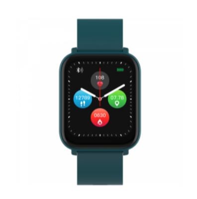 Smartwatch CANYON Easy SW-54 zaļš